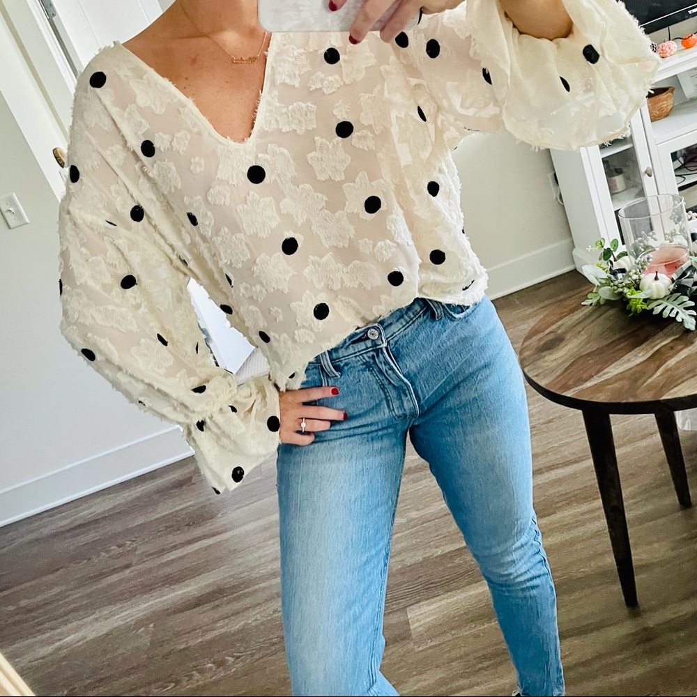 Zara Polka Dot Blouse